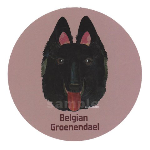 ベルジアン グローネンダール《犬種名ステッカー/大型犬》