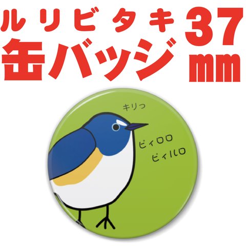 かわいいルリビタキさんを目指したのにキリっとなった　缶バッジ