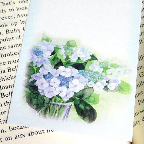水彩画一筆箋118「額紫陽花」２５枚