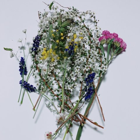 花材セット(雪柳、かすみそう、花かんざし、スターチス、ムスカリ、ミモザ)