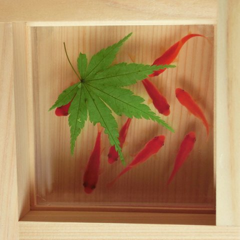 ひのきアート 3D金魚 咲×紅葉×緑 こだわりの日本製 もみじ プレゼントにおすすめ 健康長寿 ギフト 誕生日 結婚 退職 還暦 祝い 木 桧 春 夏 秋 冬 もみじ お正月