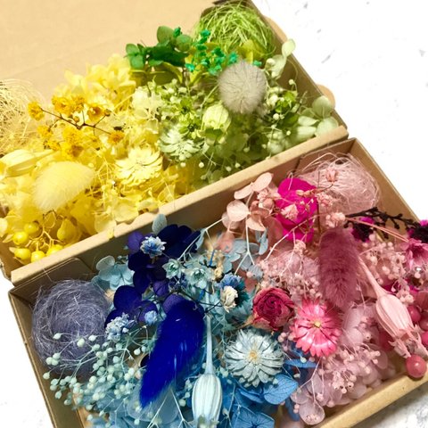 4色2Box綺麗色ハーバリウム 花材ドライフラワー  花材セット