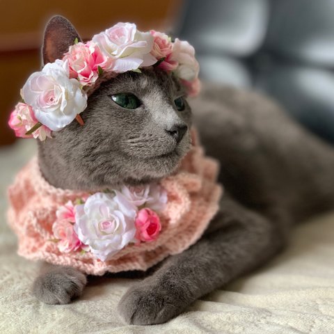 【再販】猫用 薔薇のフリルポンチョ&花冠セット