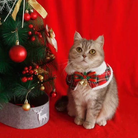 犬猫服 猫のクリスマスケープ 新年ストール ペット用マフラー、ショール 英国短毛猫やテディベアにぴったりな秋冬服
