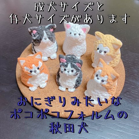 おにぎりみたいなポコポコフォルムの秋田犬«成犬サイズと仔犬サイズ»2月販売予定 告知ページ