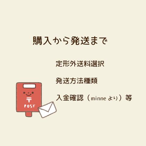 ★購入(送料選択)～発送まで★