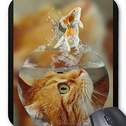 金魚を狙う猫のマウスパッド：フォトパッド（世界の猫シリーズ） (A)