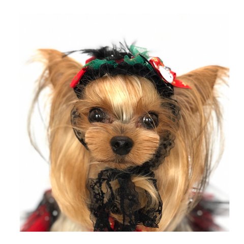 犬アクセサリー★クリスマスヘッドドレス★