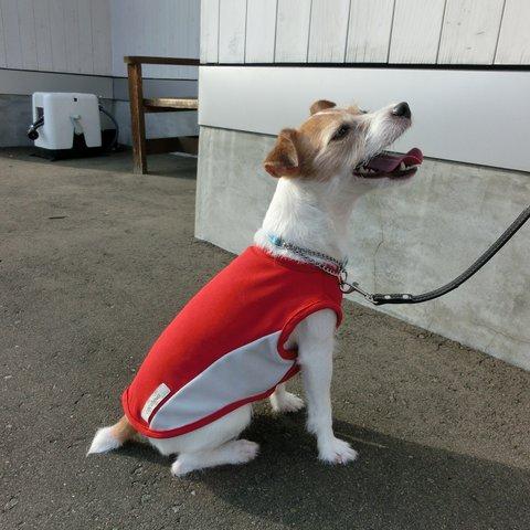 小型犬用ＸＳシャインクールパネルタンク