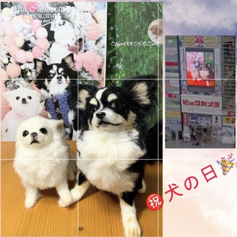 3D犬　チワワ　オーダーメイド　（2体制作）　羊毛フェルト　犬