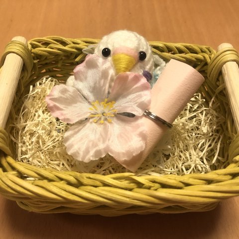 おめでとう桜ギフト♡セキセイインコちゃん（水色）