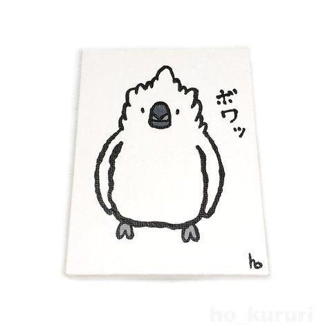 タイハクオウム ミニキャンバス 原画イラスト 5173