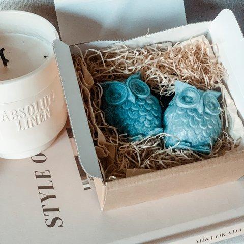 【Ulula Cereus】vegan candle 2set