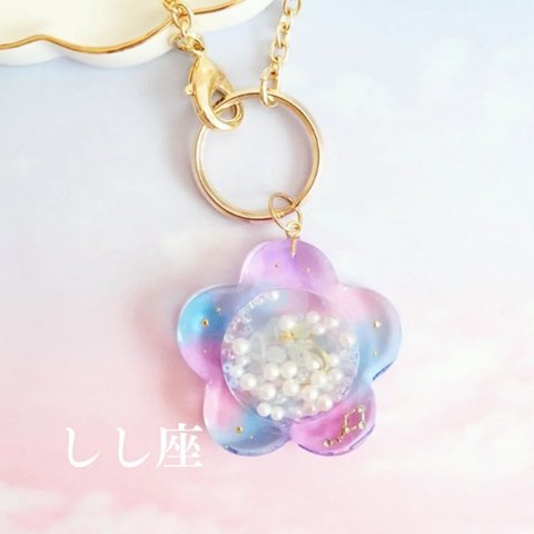 訳あり ＼‎◌𓈒𓐍 しし座 12星座のお花 シェイカー◌‬𓈒𓋪‪／  /  レジン