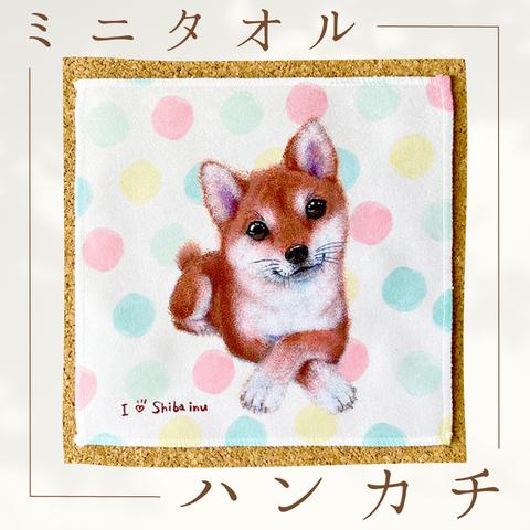 【柴犬】ハンカチタオル🌟ラッピング対応🌟プレゼントにも♪