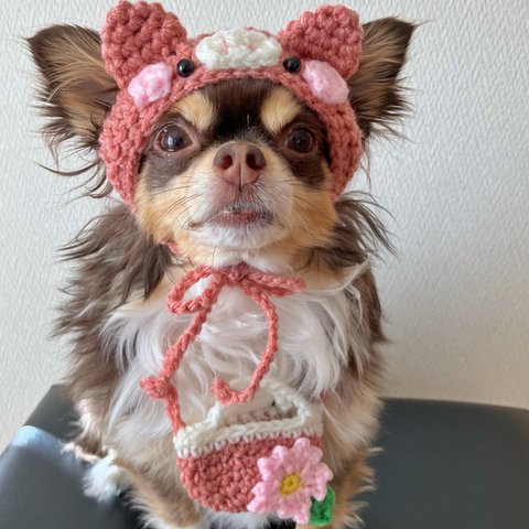 犬用＆猫用 桜カラーぶたさん帽子🐷🌸💖 お花見 桜 春