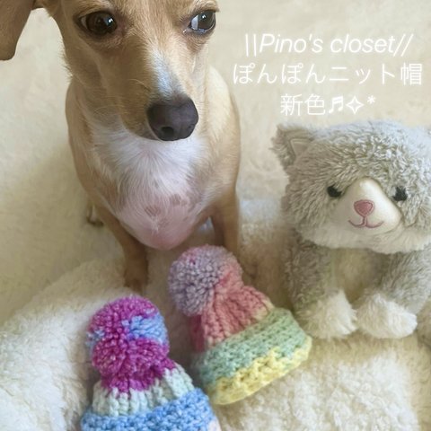 \\新色//オパール／ぽんぽんニット帽／犬用／帽子／ニット帽／可愛い／オシャレ