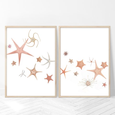 ［２枚セット］星空ヒトデ  アートポスター（45_starfish）