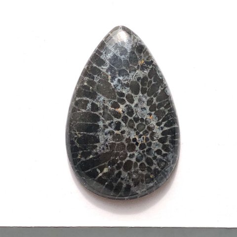 フォッシルコーラル[168] 32x21mm 25Cts  　ルース ／天然石 ／ カボション