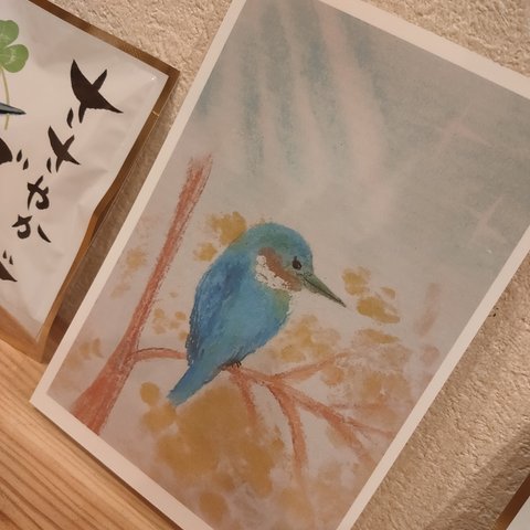 カワセミセット✨人気✨2セット