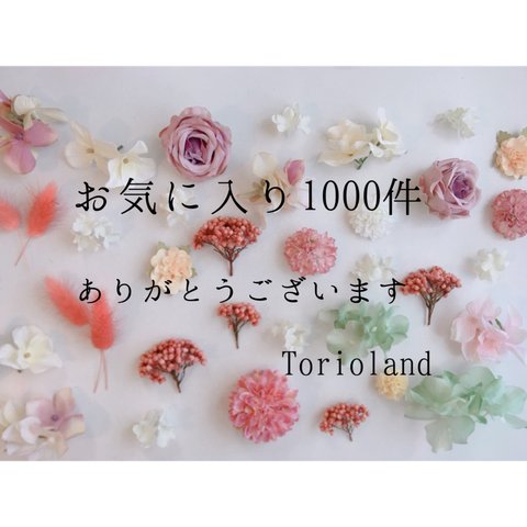 お気に入り1000件ありがとうございます＊