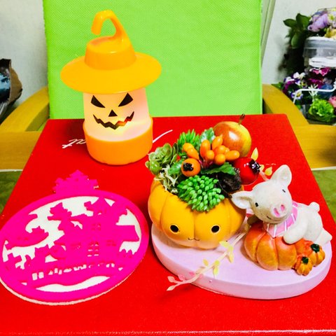 再販😊子ブタちゃんと多肉🌿パンプキン🎃