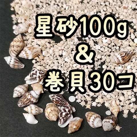 沖縄離島産 星の砂・太陽の砂100gと小さな巻き貝30個 セット