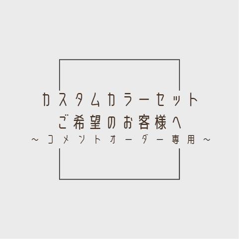 【コメントオーダー専用】カスタムカラーセットご希望のお客様へ