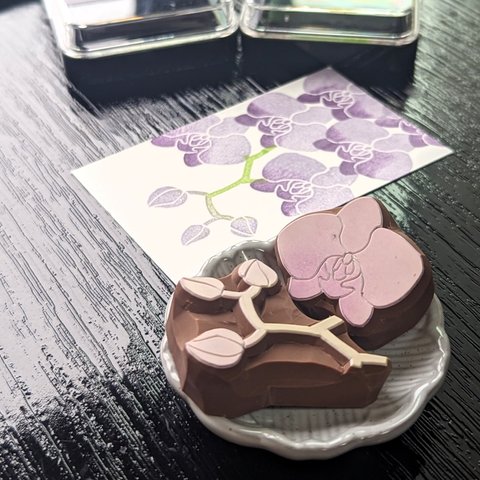 消しゴム はんこ　こちょうらん セット　eraser stamps Phalaenopsis orchid set