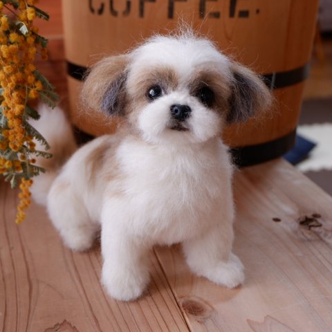 羊毛フェルト犬  シーズー 犬  おカッパちゃん