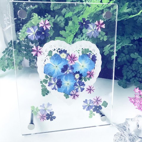 紫陽花押し花額キット☆お家時間に簡単