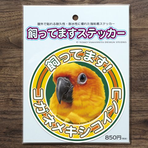 コガネメキシコインコ 飼ってますステッカー