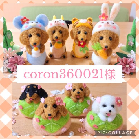 coron360021様専用 ♡ *°•*¨*•.¸♬︎