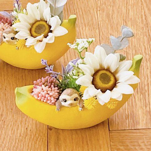 バナナジャングル　ナマケモノさん