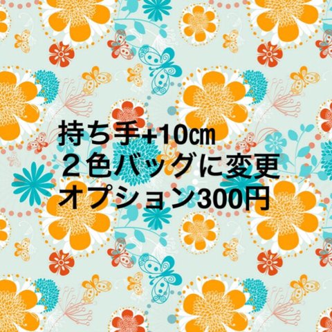 オプション300円