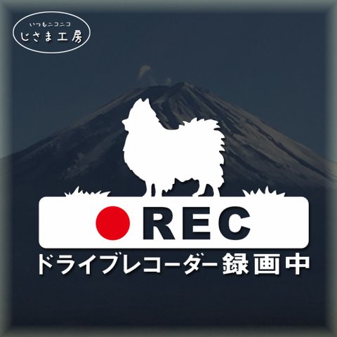 ポメラニアンの白色シルエットステッカー煽り運転ドライブレコーダー録画中‼