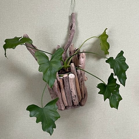 流木で作る植木鉢隠し