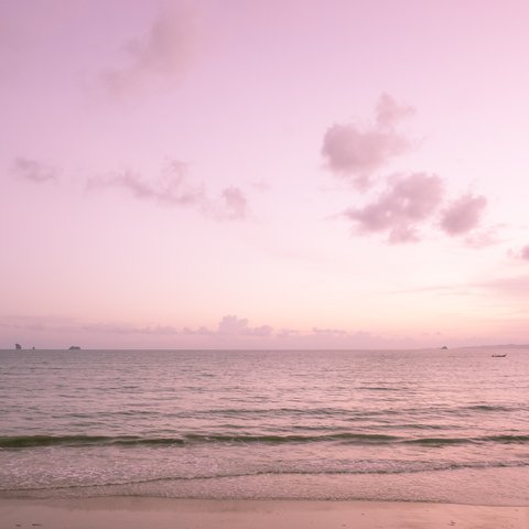 写真のある豊かな暮らし【桜色の夕暮れ】