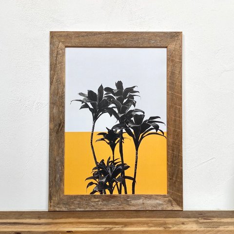 ドラセナ x オレンジ「 植物 グラフィック」 A4 ポスター & 古材 ポスター フレーム 壁掛け