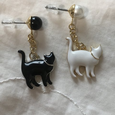 白猫　黒猫　ピアス