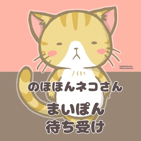 【スマホ猫壁紙】のほほんネコさん【まいぽん】待ち受け画像