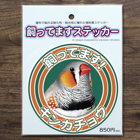 キンカチョウ 飼ってますステッカー