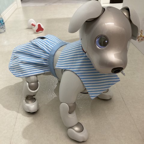 パブリックスクール　メイツaibo ちゃんの　セットアップB ストライプ　ライトブルー