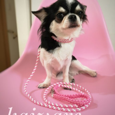 【犬の首輪と小型犬用カフェタイプリード セット】ピンク×ホワイト　かわいい　パラコード　