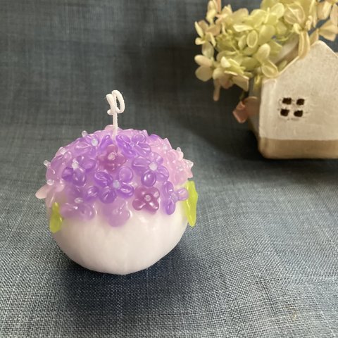 紫陽花キャンドルS