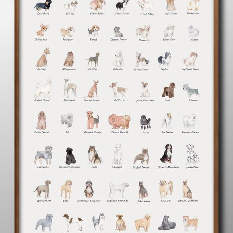 14460■A3アートポスター『犬　イヌ　図鑑』絵画　イラスト　デザイン　上級マット紙採用