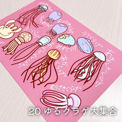 【きのくら屋】20 ゆるかわポストカード『ゆるクラゲ大集合』