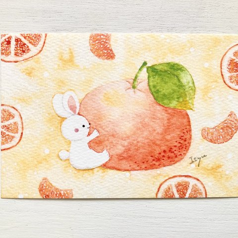 🍊透明水彩画「あま〜いミカン」イラストポストカード２枚セット　みかん　うさぎ　ウサギ　果物　フルーツ　癒し🍊