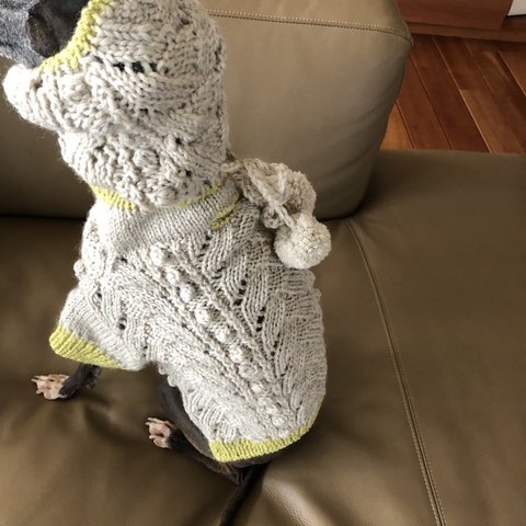 犬用スヌード&セーター