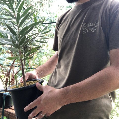 Cactus logo S/S dry tee  "olive"